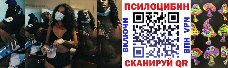 Псилоцибиновые грибы Cubensis  Краснослободск 